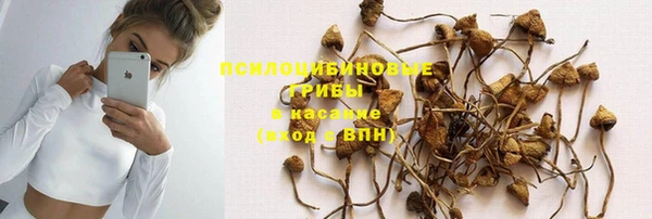 прущая мука Армянск