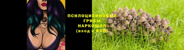 гашик Аркадак