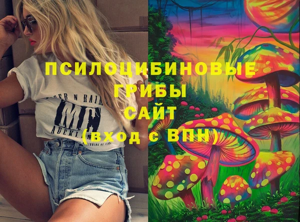 гашик Аркадак