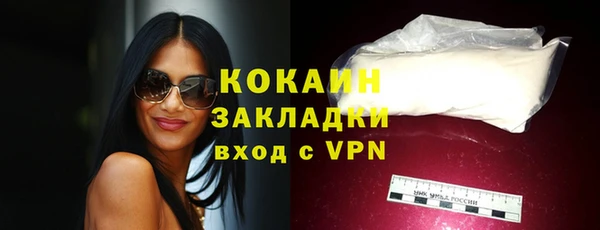 гашик Аркадак