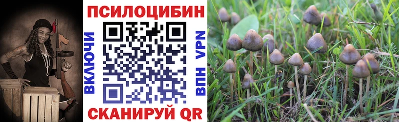 Псилоцибиновые грибы Magic Shrooms  гидра зеркало  нарко площадка какой сайт  Кувшиново 
