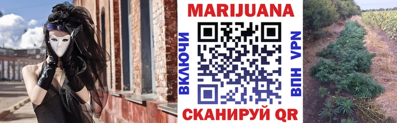 Каннабис OG Kush  Кувшиново 